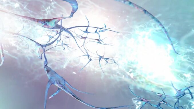 Ilustrazione della rete di assoni neuronali del cervello che trasmettono potenziali d’azione elettrici. (getty images)'