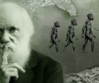 Il 12 febbraio è la Giornata dedicata a Charles Darwin, padre della teoria dell 'evoluzione (fonte: Tim Bryant, da Wikipedia)