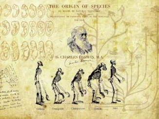 Il 12 febbraio 1859 nasceva Charles Robert Darwin