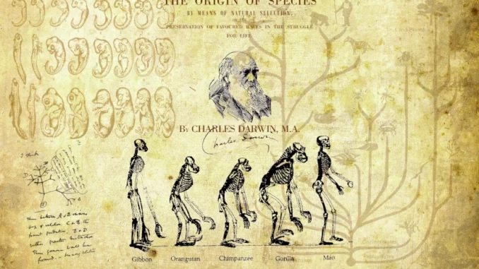 Il 12 febbraio 1859 nasceva Charles Robert Darwin