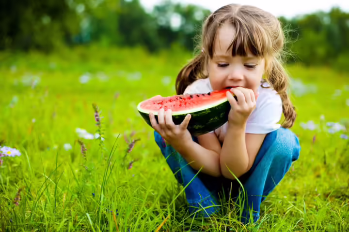I bambini possono essere vegani? Come spiega la Fondazione Veronesi, è meglio rimandare la scelta quantomeno all’inizio dell’età scolare: "Se negli adulti la scelta è sostenibile, a fronte di un'integrazione dietetica, più complesso è adeguare l'alimentazione di un bambino che segue una dieta vegana. Nei primi anni di vita è infatti più alta la richiesta di proteine ad alto valore biologico, ricche cioè di amminoacidi essenziali - quelli che l'uomo non sintetizza da sè: fenilalanina, isoleucina, istidina, leucina, lisina, metionina, treonina, triptofano e valina - e più facilmente assorbibili e digeribili. Lo stesso discorso può essere esteso alla vitamina B12, il cui apporto è fondamentale per un corretto sviluppo neurologico”.